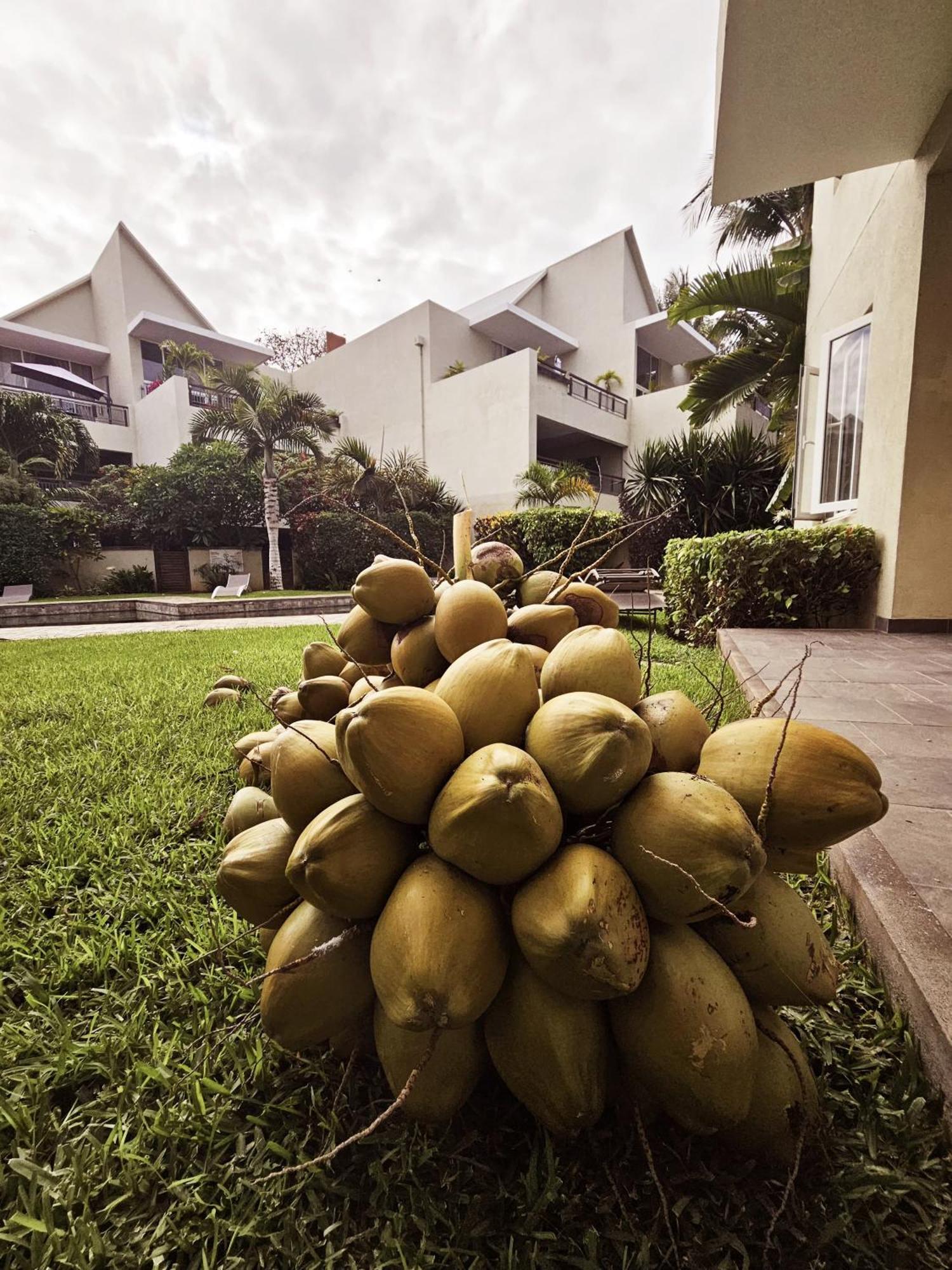 Seaside 3 Suites Penthouse With Pool Gym & Bbq Terrace Cap Malheureux Luaran gambar